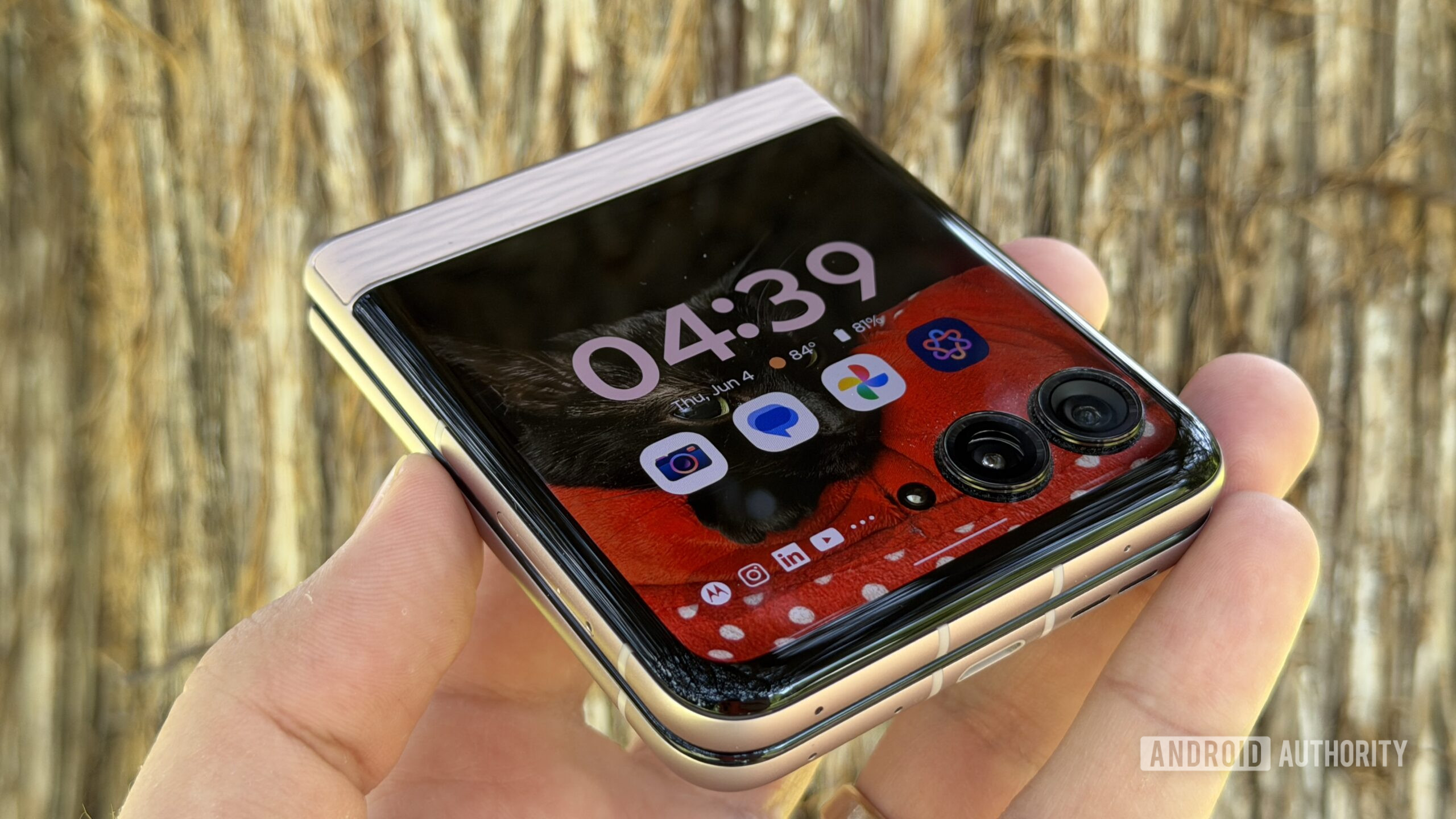 Motorola Razr 2026 cover display