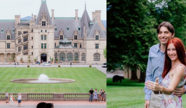 Black bear crashes Biltmore proposal photo shoot in Asheville