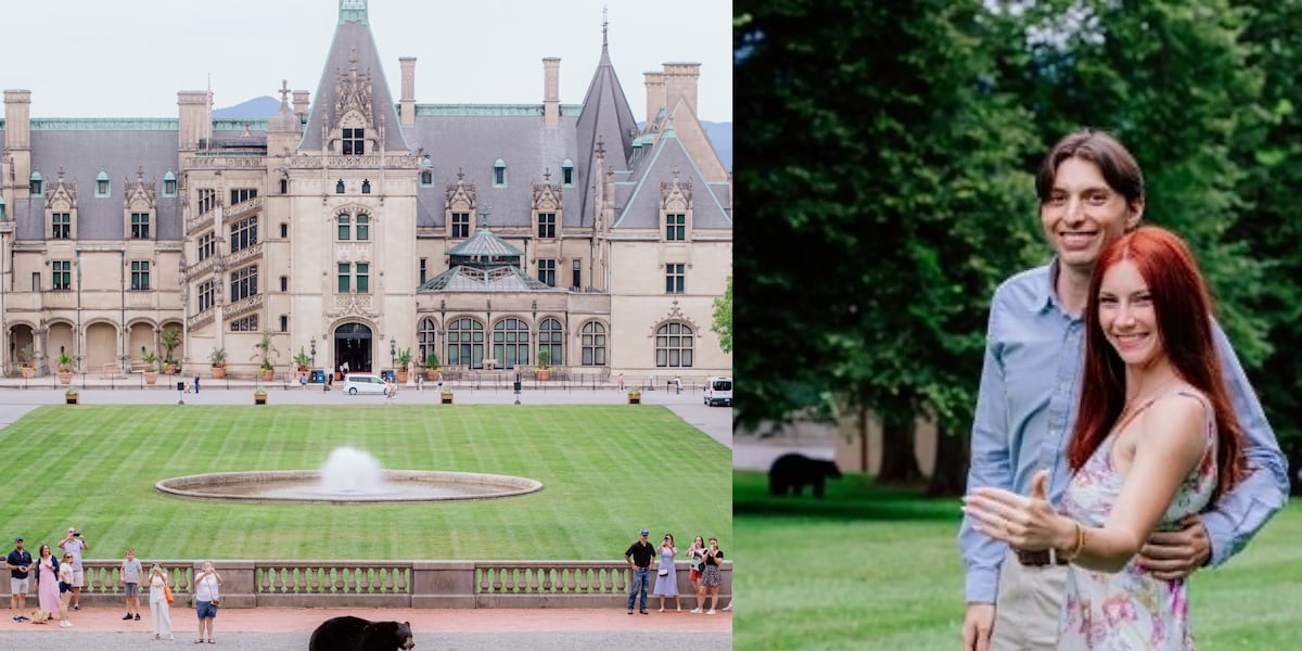 Black bear crashes Biltmore proposal photo shoot in Asheville