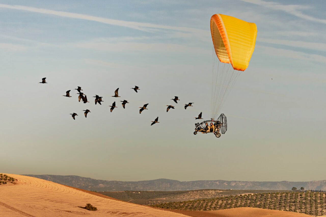 Nature Saw2026 Overall Winner Migrating Ibis Credit Gunnar Hartmann Hr