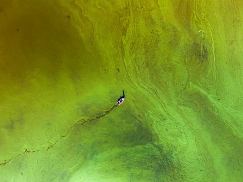 A person in a red shirt stands alone on a vast, textured green surface, possibly algae-covered water, seen from above. Subtle swirls and dark lines create an abstract pattern around them.
