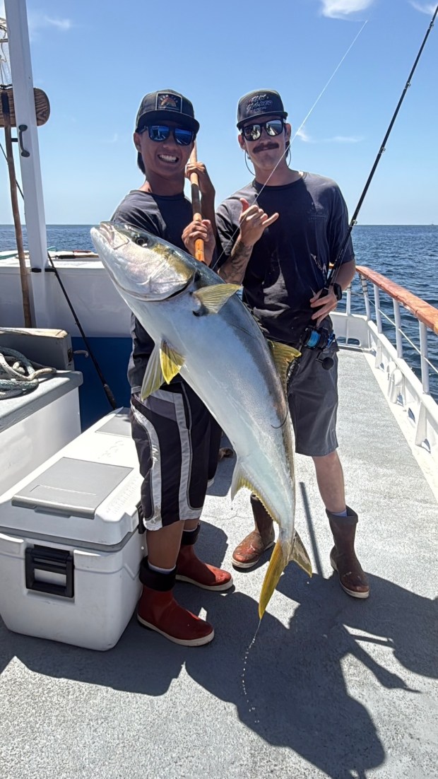 Dana Wharf Sportsfishing anglers aboard Sum Fun have been catching massive yellowtail just a few miles from shore. (Photo courtesy of Dana Wharf)