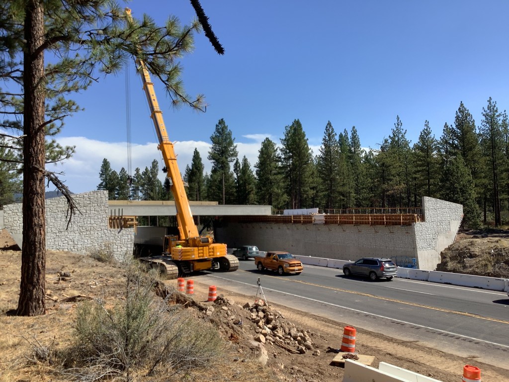 wildlife crossing project, siskiyou county, wildlife bridge, california wildife, deer crossing