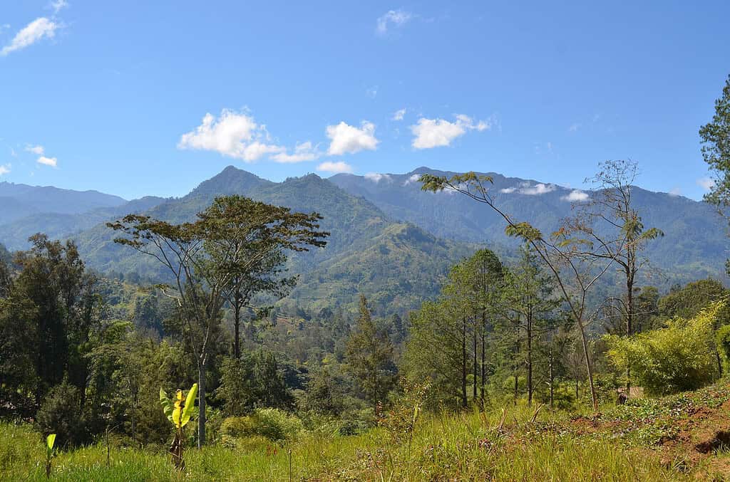 Beautiful mountain landscape with lush forests and blue sky.