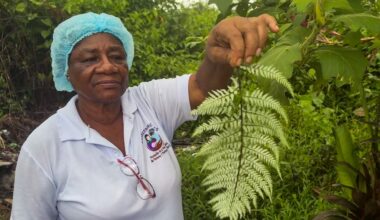 How Colombia’s traditional midwives serve as lifelines to rural communities | Health News