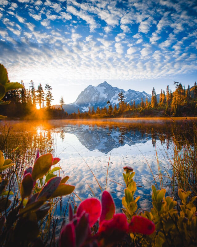 Sunrise over a tranquil lake with a snow-capped mountain and trees reflected in the water. Colorful plants frame the foreground, and the sky is filled with scattered clouds.