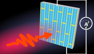Quantum Metasurface Based Photoelectric Tunable Step Terahertz Detector