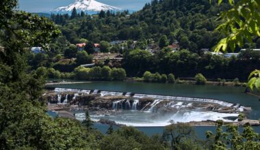 Oregon Leads In Democracy, Falls Behind in Mental Health, Report Finds