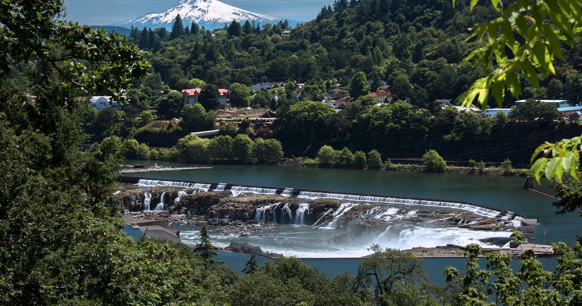 Oregon Leads In Democracy, Falls Behind in Mental Health, Report Finds