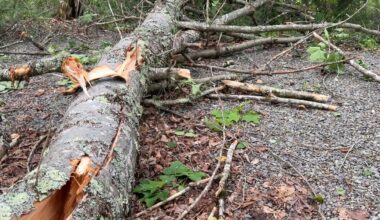 EF-1 tornado carves path of destruction through Lincoln