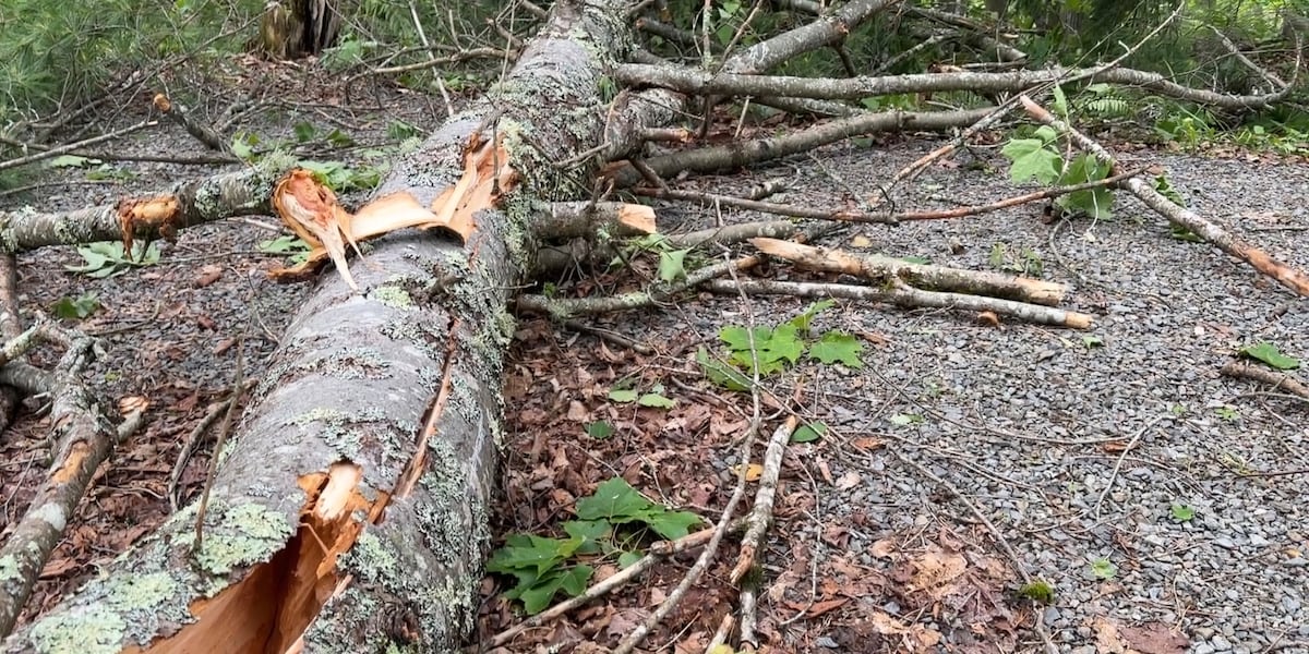 EF-1 tornado carves path of destruction through Lincoln