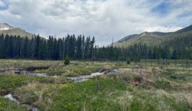 What can humans learn from beavers when it comes to drought-proofing the landscape?