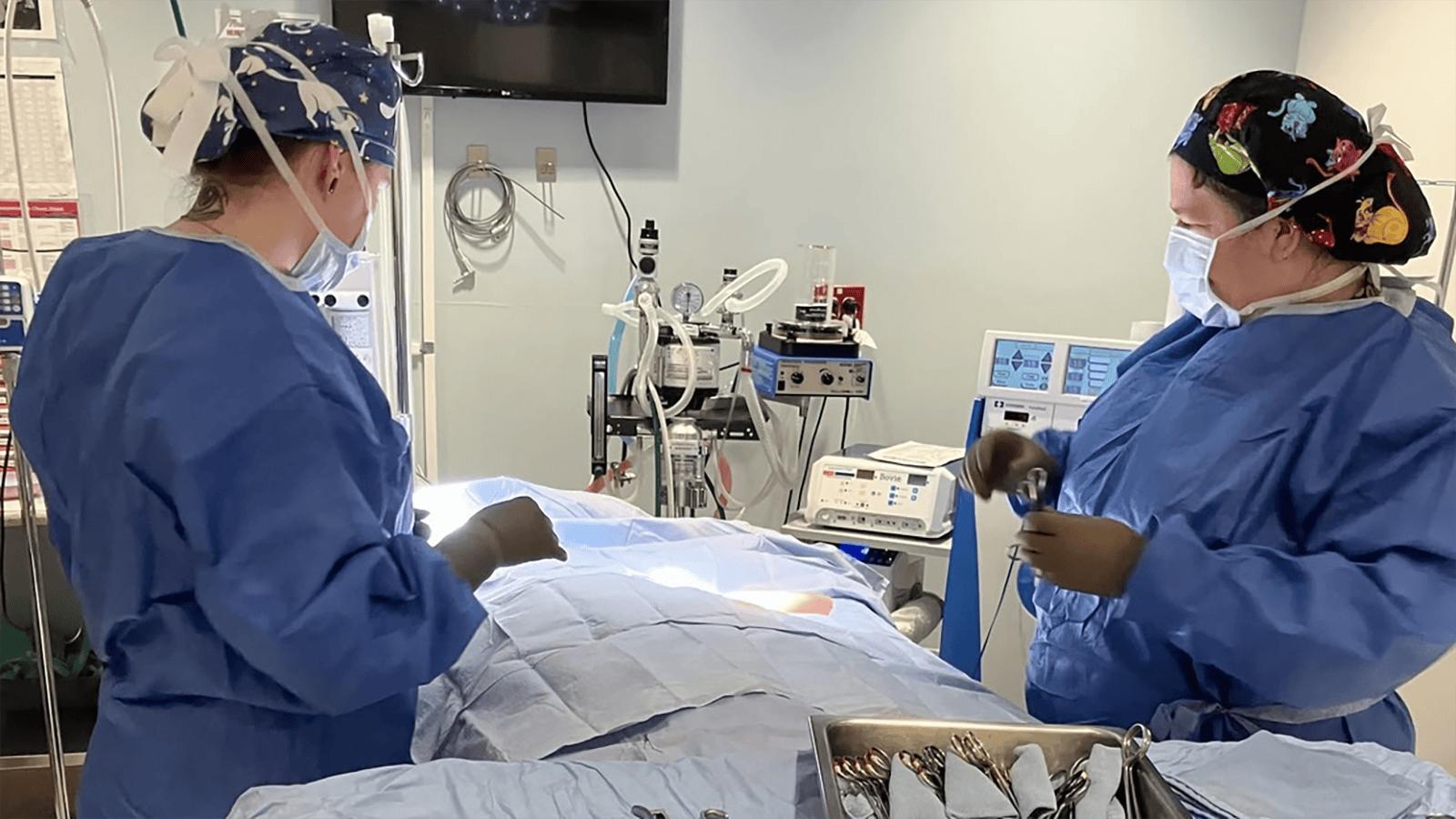 An orthopedic surgeon prepares to operate on a red fox kit at the Rocky Mountain Wildlife Alliance’s wildlife hospital in Sedalia, Colorado.