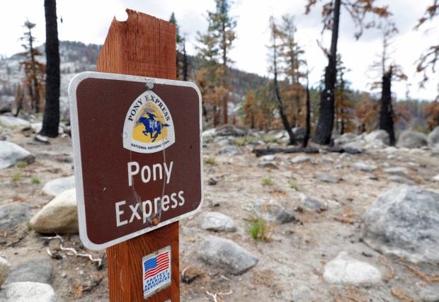 ELDORADO COUNTY, CALIFORNIA - AUGUST 09: A Pony Express trail sign is seen near the Pacific Crest Trail and Tahoe Rim Trail near Echo Summit in Eldorado County, Calif., on Tuesday, August 9, 2022. The area is recovering from the 2021 Caldor Fire. (Jane Tyska/Bay Area News Group)