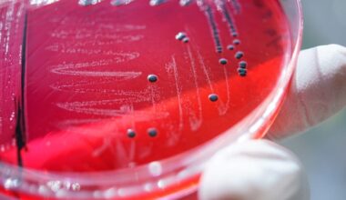 Tainted Food Is Killing Far More People Than Previously Thought, WHO Says