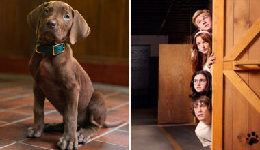 Meet Scooby-Doo! First Look At The Iconic Canine In Live-Action Series