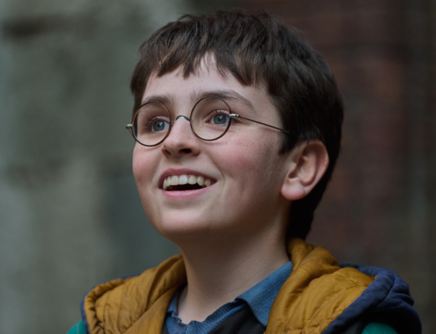 Dominic McLaughlin as Harry Potter
