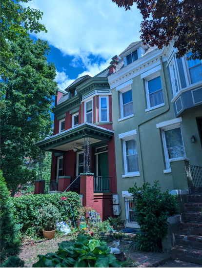 Tree-lined street in D.C.