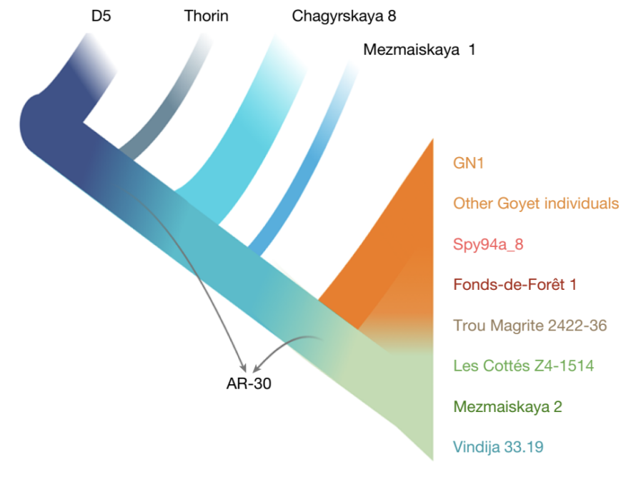 The Last Neanderthals in Europe Were Genetically Diverse