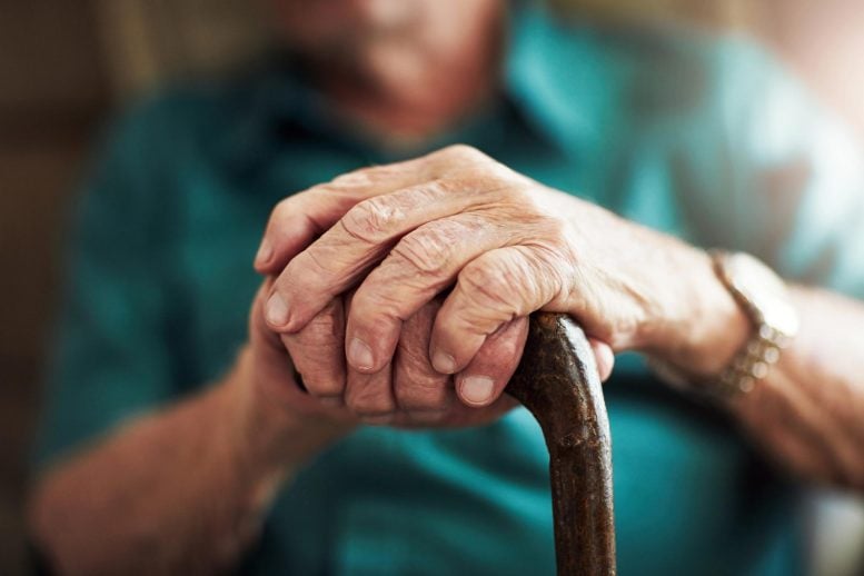 Senior Man Holding Walking Cane