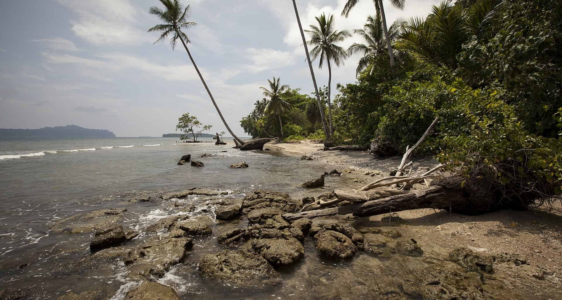 People on These Pacific Islands Have the Most Ancient Genome of All Humans (and a Lot of Denisovan Genes)