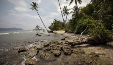 People on These Pacific Islands Have the Most Ancient Genome of All Humans (and a Lot of Denisovan Genes)