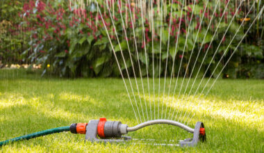 Carson City summer water restrictions in effect