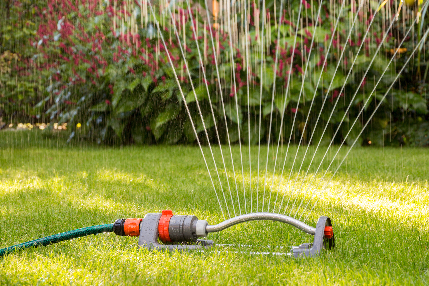 Carson City summer water restrictions in effect