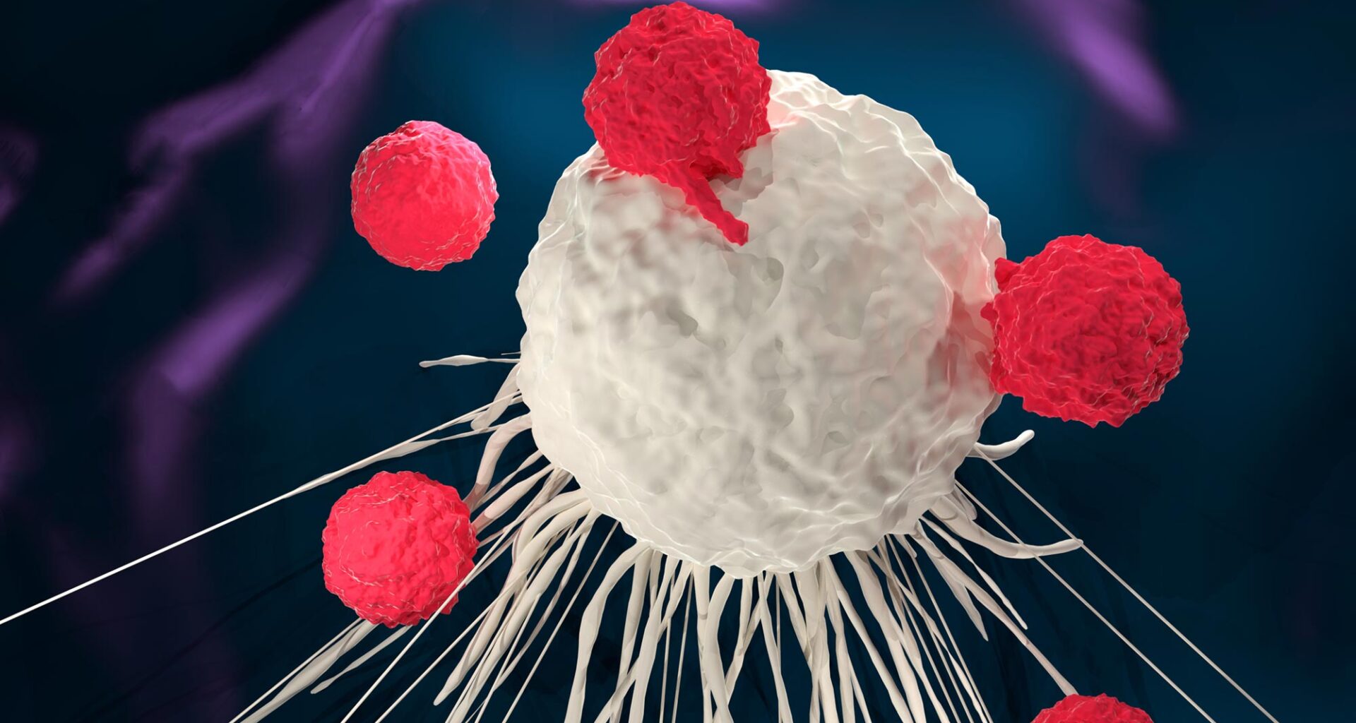T Cell Therapy Attacking Cancer