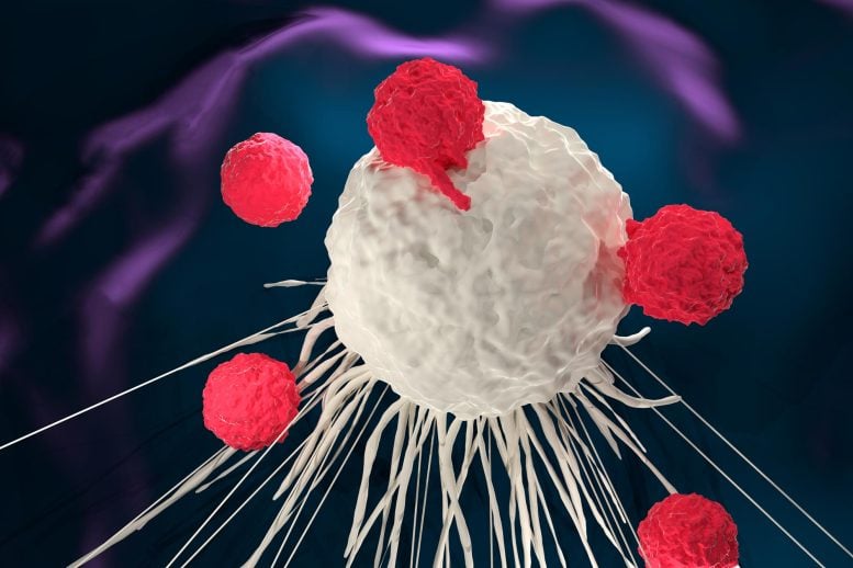 T Cell Therapy Attacking Cancer