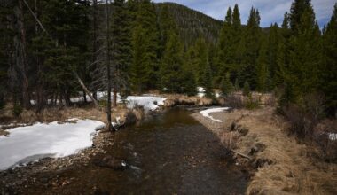 Federal Colorado River managers will impose 10-year management plan