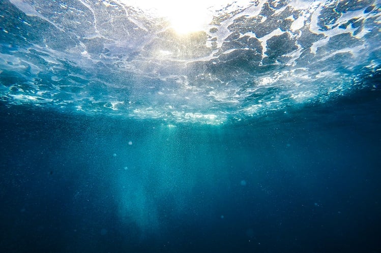 CK-Nutraceuticals-expands-US-footprint-of-its-deep-ocean-minerals-ingredient.jpg