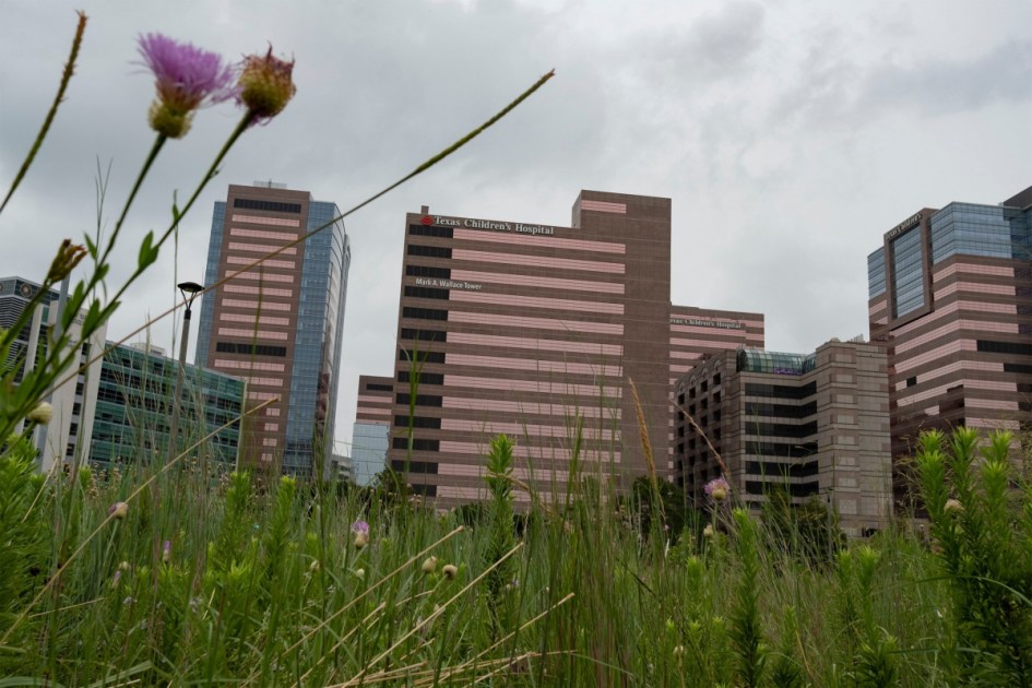 Details released on Texas Children’s Hospital detransition clinic