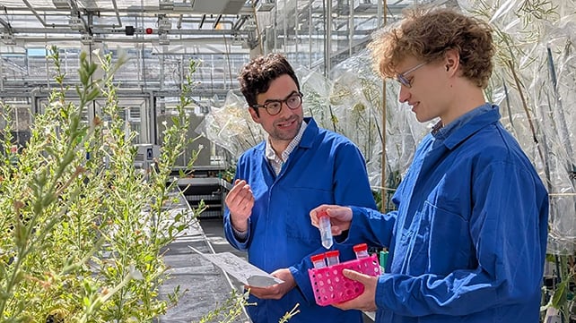 Researchers at work