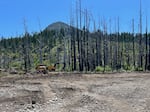 FILE - The substrate exposed by the equipment shows that this area was once a floodplain before Cougar Dam and nearby roads constrained the South Fork McKenzie River.