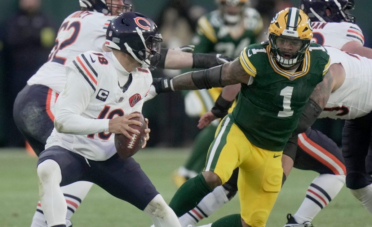 Bears