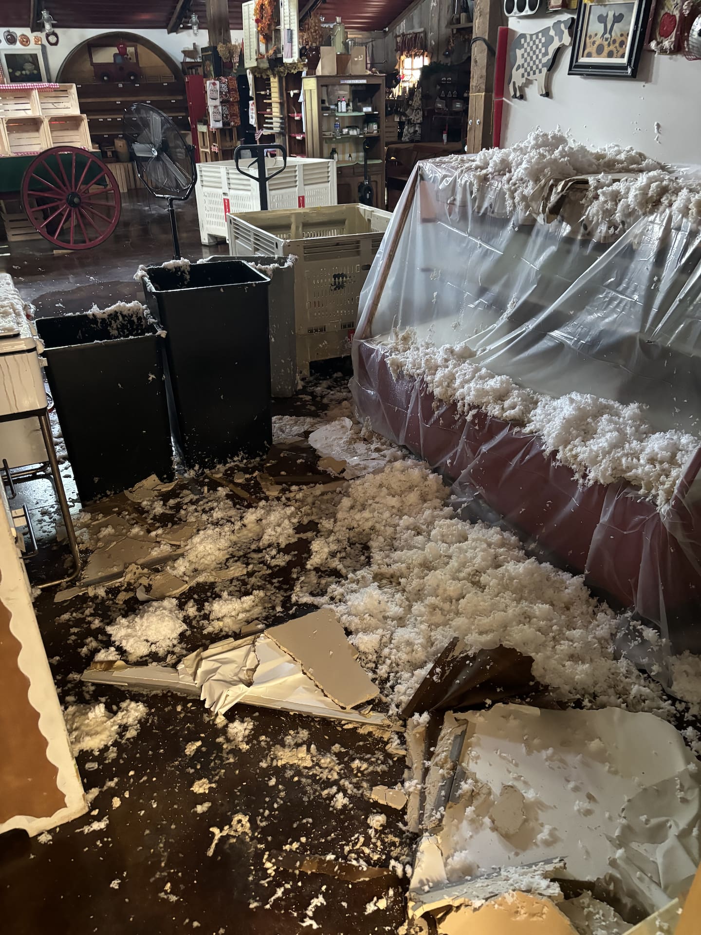 Indoor damage at the Orchard Store of Kuipers Family Farm in Maple Park after a derecho storm tore the roof off the barn – where the store is – and peeled back the office building roof Wednesday, June 10. The family is waiting a new steel roof to arrive and be installed.