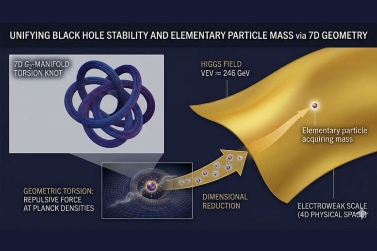 Unifying Black Hole Stability and Elementary Particle Mass via 7D Geometry