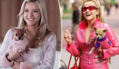 'Legally Blonde' prequel series 'Elle' is shockingly not bad: review
