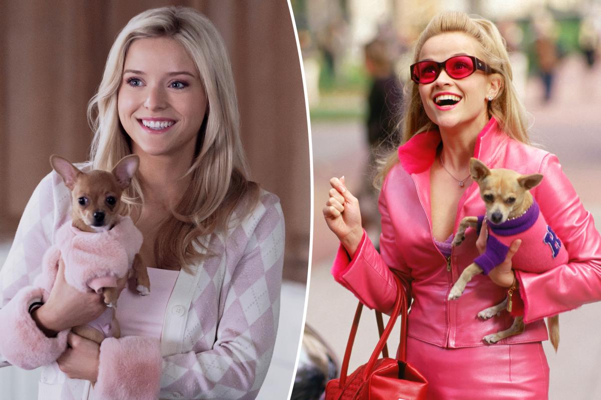 'Legally Blonde' prequel series 'Elle' is shockingly not bad: review