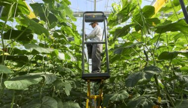 Weston-backed fund to invest in Canadian agricultural tech startups