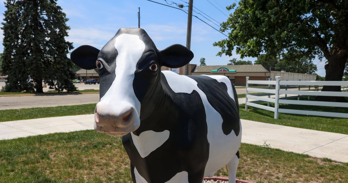 Cow statue on the ‘moove’ at Perry Farm in Bourbonnais – Shaw Local