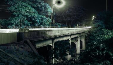 New Gallery Exhibit ‘Through the Lens’ at the MACC’s Schaefer International Gallery : Maui Now