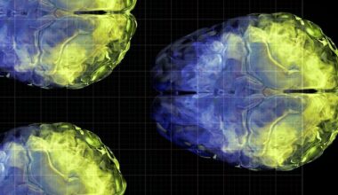 Aging brain health: Vitamin C levels linked to gray matter volume
