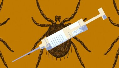 Tick bites are driving up alpha-gal syndrome and Lyme disease rates. Here’s how to prevent them.