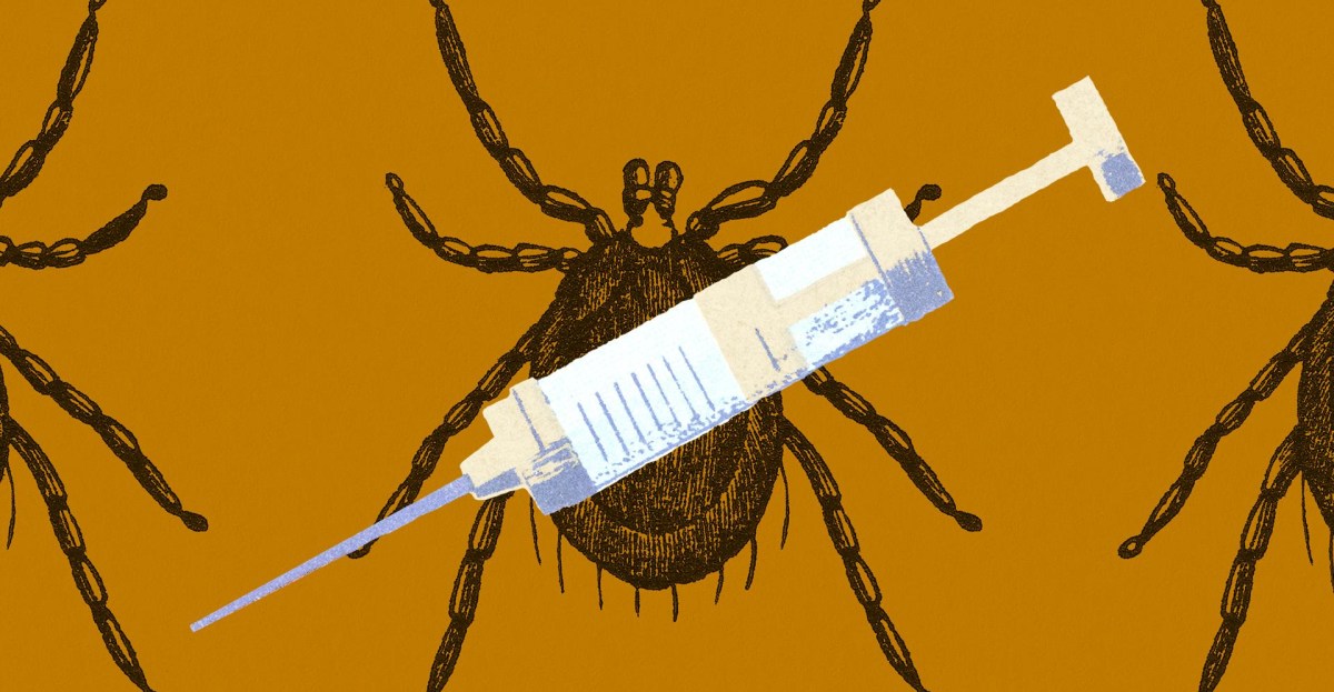 Tick bites are driving up alpha-gal syndrome and Lyme disease rates. Here’s how to prevent them.