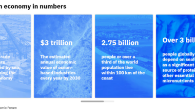 World Ocean Day: From risk to prosperity