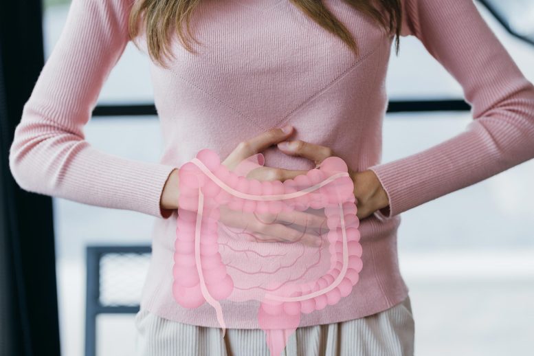 Woman Holding Stomach Gut Digestive Health