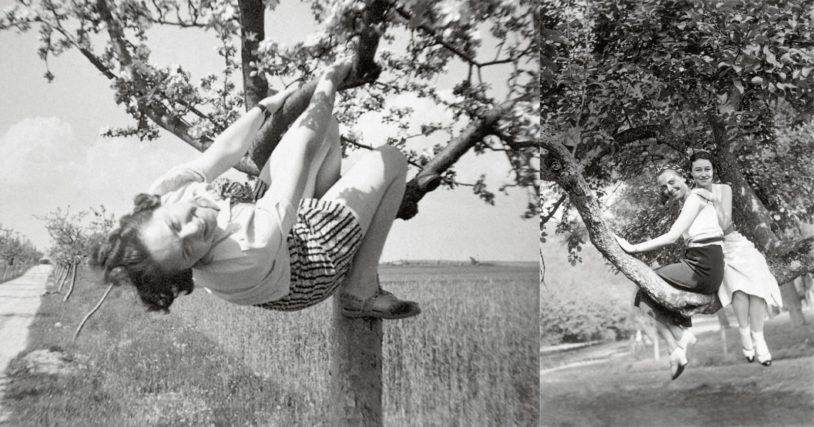 Two black-and-white photos: on the left, a woman in a striped skirt playfully hangs from a tree branch in an orchard; on the right, two women sit smiling together on a tree branch.
