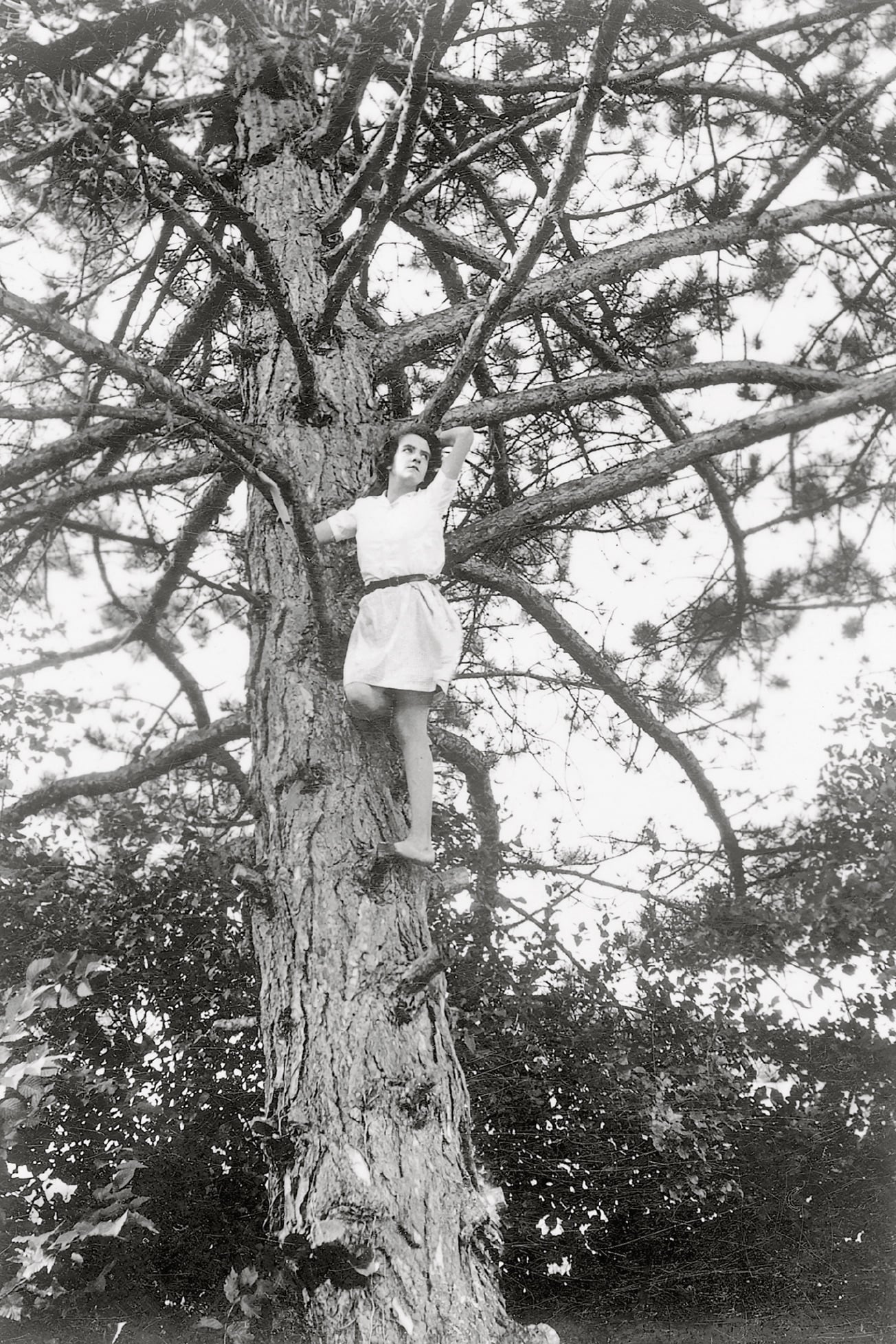 A young woman wearing a light-colored dress is perched barefoot on a branch of a tall pine tree, surrounded by leafy branches and foliage. The photo is black and white.